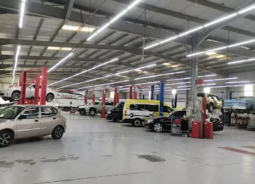Pro 5 Advanced Motors