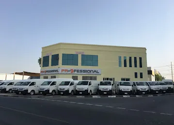 Professional Express Courier Service LLC