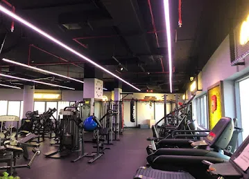 Project Fitness