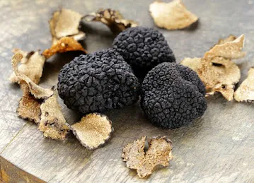 Project Truffle - Fresh Truffles
