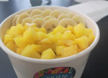 Projeto Acai