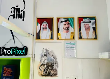 ProPixel Printing - Design - Copy & Print Center