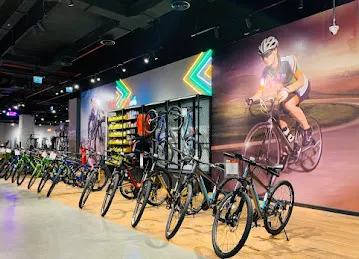 ProXSports