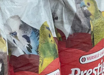 PTS Birds Trading
