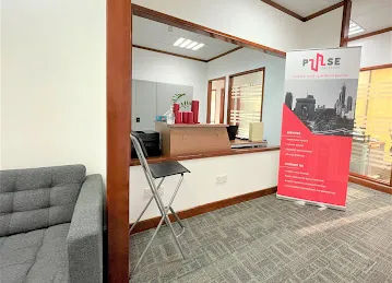 Pulse Real Estate