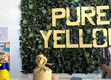 Pure Yellow Flower Shop - بيور يلو للزهور