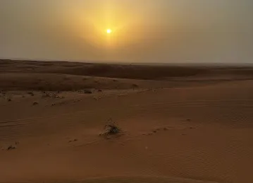 Quads Dubai & Dune Buggy Dubai