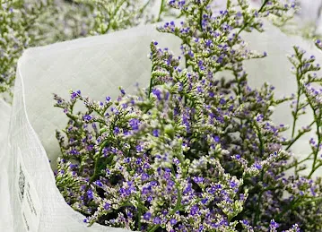 Quality Flowers Trading LLC