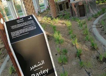 Quranic Park Play area