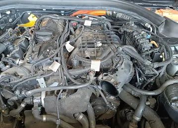 Race World Auto Repairs