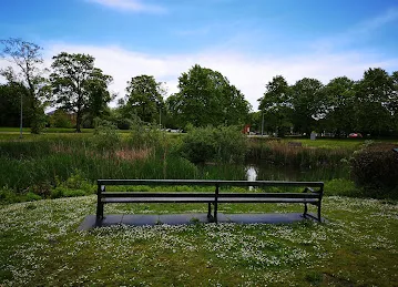 Rampahogs Playground