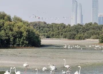 Ras Al Khor Wildlife Sanctuary Entrance