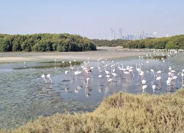 Ras Al Khor Wildlife Sanctuary Entrance