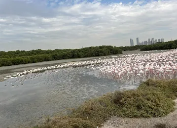 Ras Al Khor Wildlife Sanctuary Entrance