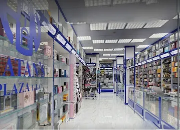 Ratan's Plaza LLC