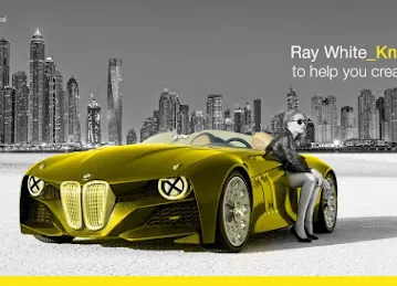 Ray White International