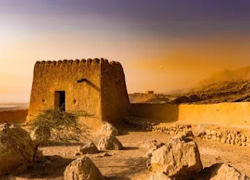 Rayan Tours