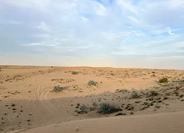 Rayna Desert Camp