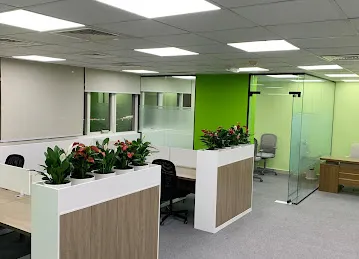 RBS Ravis Auditors