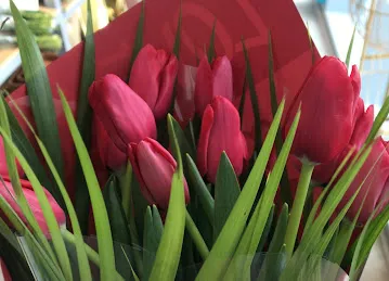 أرض الزهور دبي Rose Land Flower