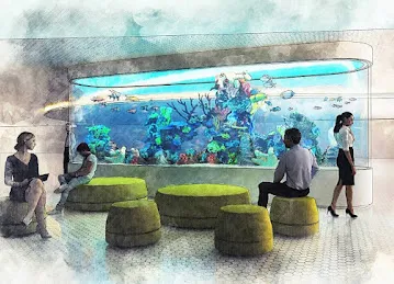 RedFin Aquarium Design UAE