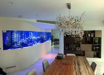 RedFin Aquarium Design UAE