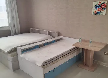 Relocators Movers and Packers Dubai