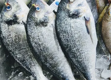 REMAH FISH TRADING..ريما فيش للتجارة ..