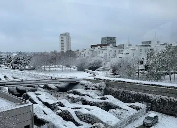Ресторан Gaia( For seasons)