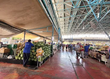 Retail shops al awir fruit and vegetable market