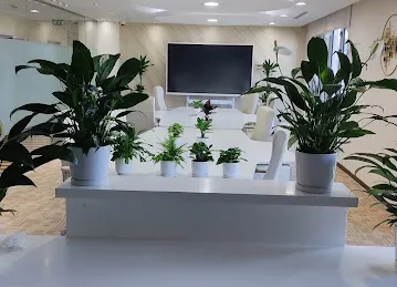 Riya Pari Plants