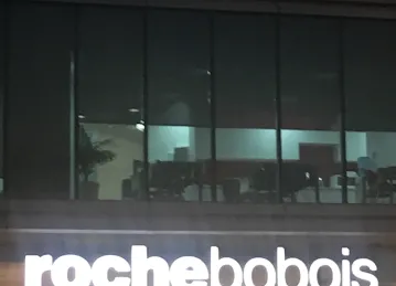 Roche Bobois