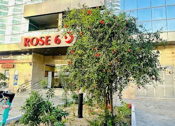 Rose 6, TECOM