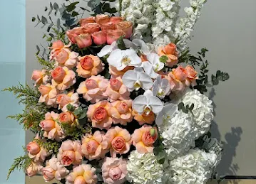 Rose Petals Flowers - Flower Shop