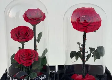 Rose Petals Flowers - Flower Shop