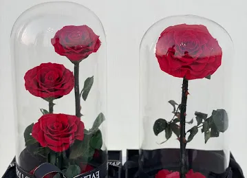 Rose Petals Flowers - Flower Shop