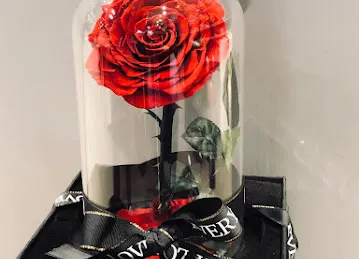 Rose Petals Flowers - Flower Shop