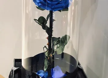 Rose Petals Flowers - Flower Shop