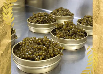 ROYAL HOUSE CAVIAR LLC