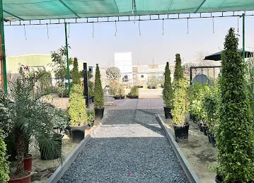 Royal house trees seedlings branch 2