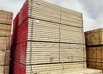 S A S TIMBER TRADING- SALEHBHAI & SONS