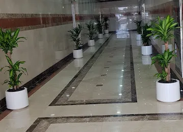 S.O.1 Building