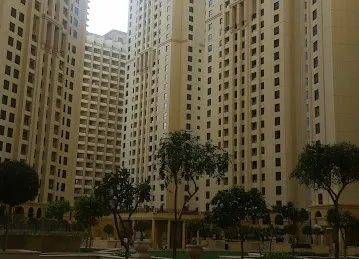 Sadaf 8
