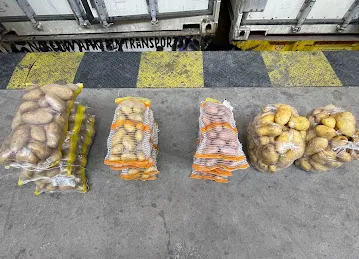 SAERA KHATUN POTATOES TRADING LLC