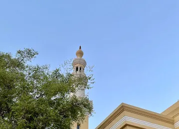 Saleh Mohammed Bin Lahej Mosque
