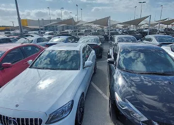 Sama Alsaadah - showroom 35 - 35 سماء السعاده - معرض