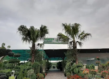 Sameer Nursery LLC