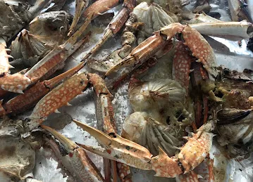 Sardal Fisheries Restaurant