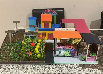 School Project maker