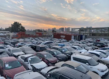 Sea Horse used cars